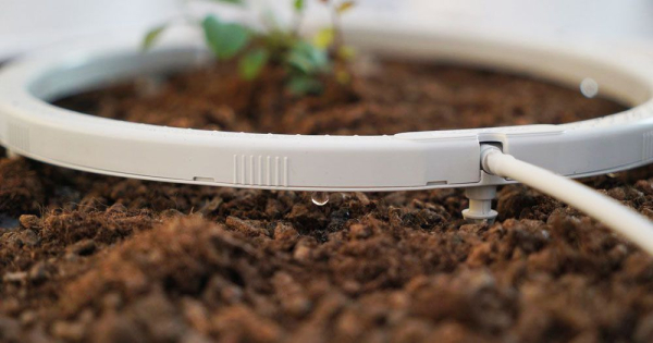 Netafim NetBow™ Ø 12 cm Tropfbogen mit 4 Auslässen